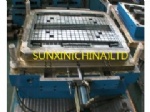 tray mold